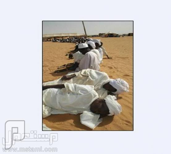 وبدأت المظاهرات في السودان ادخلوا للاهمية