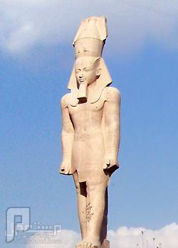 لماذا التماثيل الفرعونية لم تكسر بعهدعمرو بن العاص