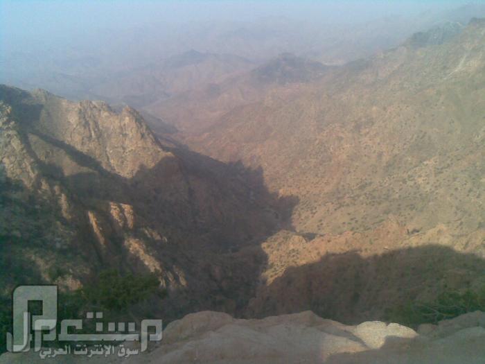 مناظر من تصويري لمحافظة الطائف ومنطقة الشفا مناظر من الشفا8