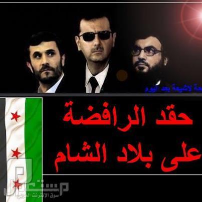 لضرب الرافضة في مقتل