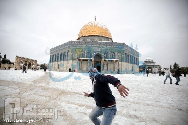 صور من فلسطين للمنخفض الثلجي الذي حل ضيفا علينا 2013