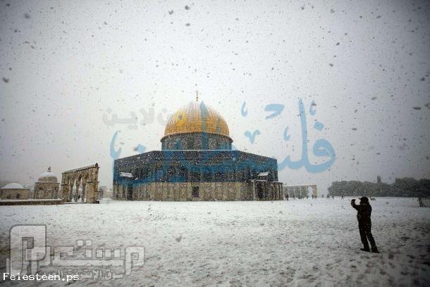 صور من فلسطين للمنخفض الثلجي الذي حل ضيفا علينا 2013