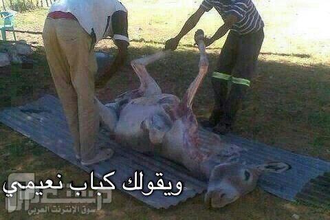 صورة تقهر .... انتبه واحذر