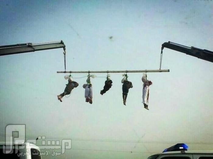 بالصور قصاص وصلب 5 يمنيين امتهنوا السرقة وقتلوا مواطن