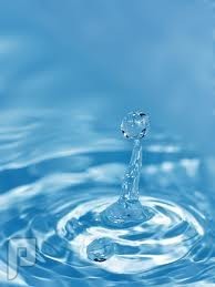 بشرى سارة قال الله تعالى : وجعلنا من الماء كل شيء حي