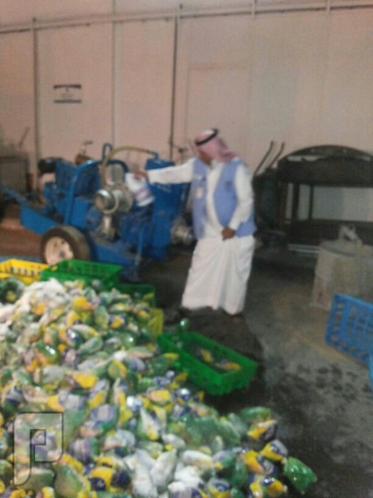 بالصور.. "بلدية أم السلم" تصادر 4 آلاف دجاجة "مغلفة يدوياً