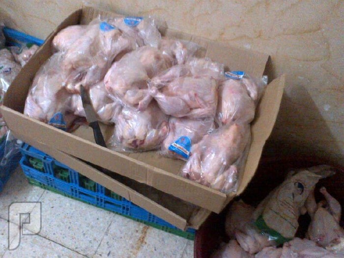 بالصور.. "بلدية أم السلم" تصادر 4 آلاف دجاجة "مغلفة يدوياً
