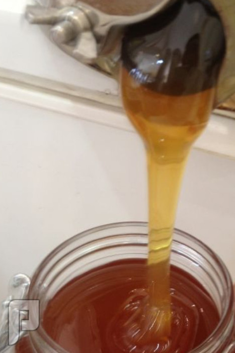 شُرب العسل مخفَّفاً بالماء