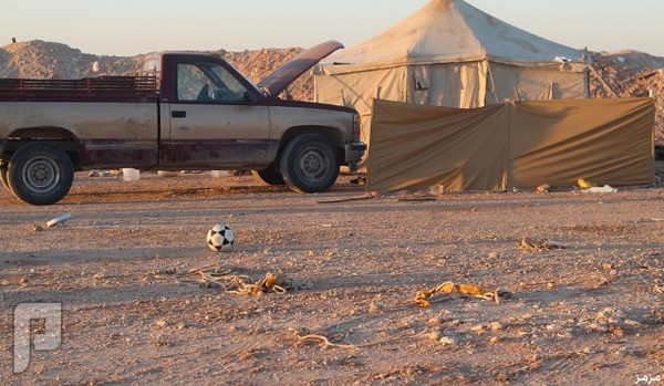 فيديو وصور: الفقر يشرد عائلة مكونة من 13 فرد في صحراء الرياض