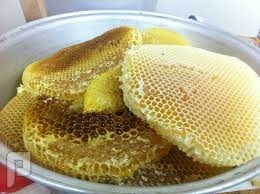 فوائد وانواع العسل الابيض