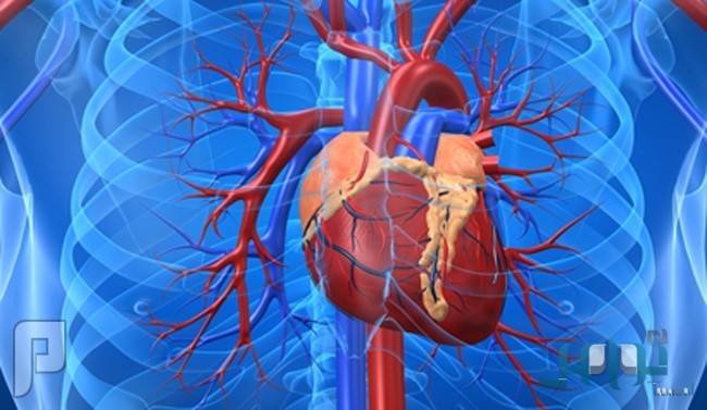 علاج جديد يساعد مرضى القلب على خفض الكوليسترول الضار