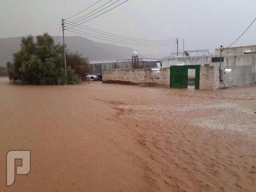 بالصور.. أمطار "هدى الشام" تتسبب في إغراق المنازل وإتلاف المركبات