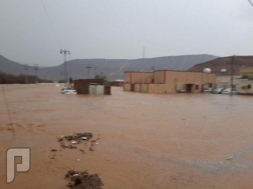 بالصور.. أمطار "هدى الشام" تتسبب في إغراق المنازل وإتلاف المركبات