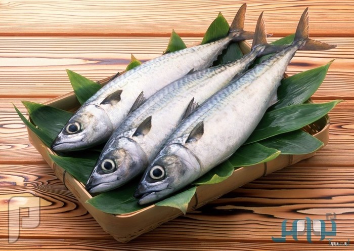 الأسماك.. الطعام المثالي لعلاج مرضى الروماتيزم