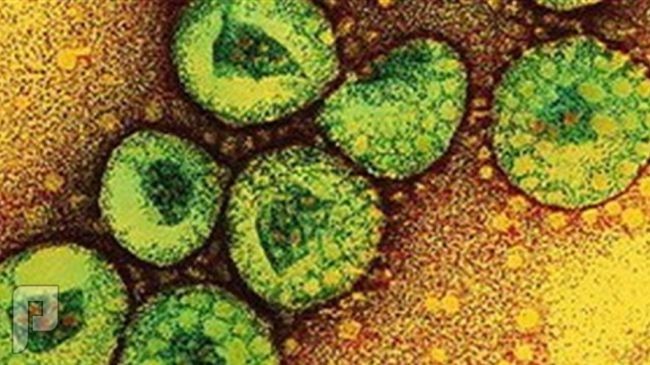 ماهو فيروس كورونا ؟ و ما علاجه ؟