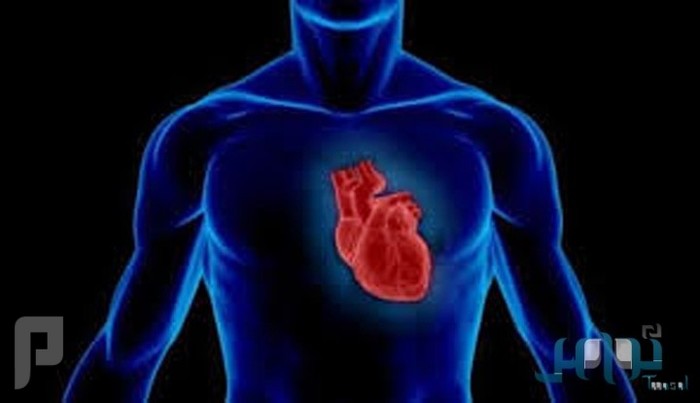 4 نصائح لحماية القلب وتقليل الإجهاد والتوتر
