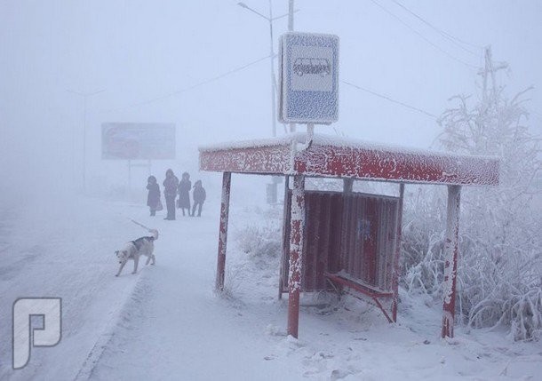 مصور نيوزلندي يستكشف "أبرد مدينة يقطنها بشر على وجه الأرض"