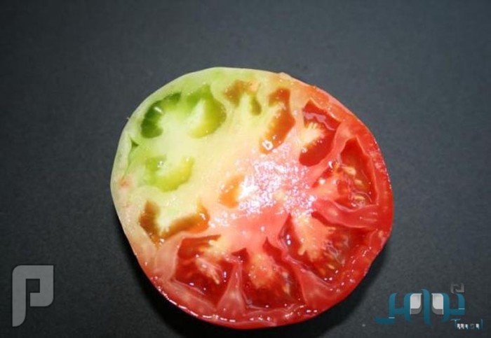 تحذير: الطماطم غير الناضجة تحتوي على مادة «قاتلة»