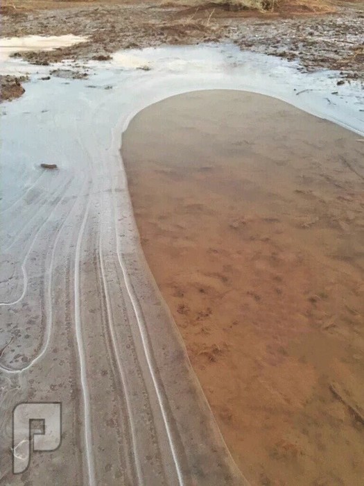 صور للجليد في السعودية!
