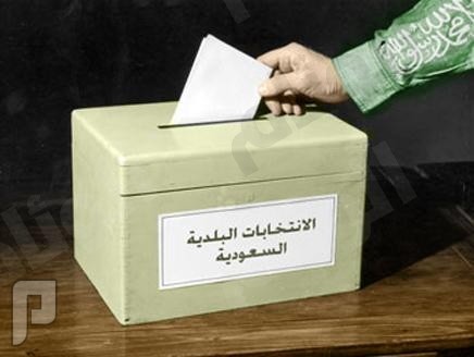كلمة حق في الانتخابات واعضاء المجلس البلدي التصويت في الانتخابات البلدية