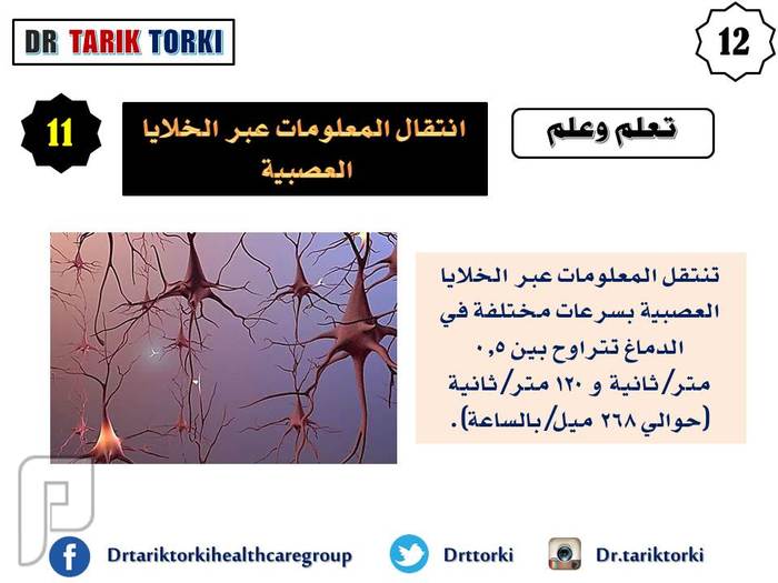 20 حقيقة مذهلة عن الدماغ البشري تعرف عليها الان | دكتور طارق تركى