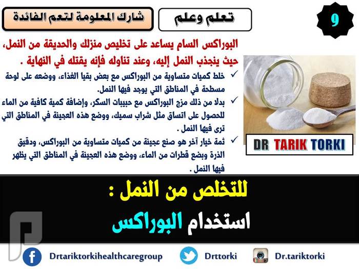 9 طرق فعالة للتخلص من النمل فى المنزل | دكتور طارق تركى