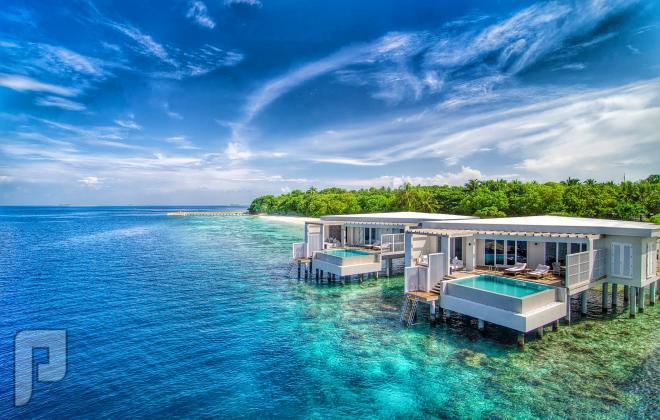 منتجع أميلا فوشي فى جزر  المالديف السحر والجمال والطبيعية الساحرة