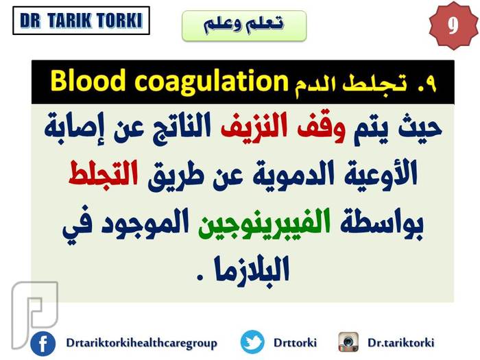 ملف كامل  عن 10 وظائف للدم لا تعرفها من قبل | دكتور طارق تركى