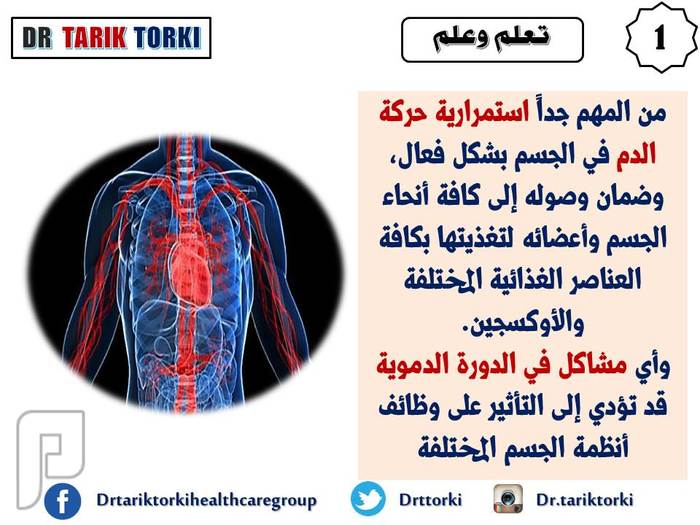 10 مؤشرات تدل على ضعف الدورة الدموية لديك | دكتور طارق تركى