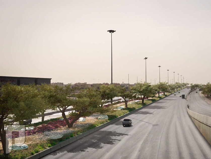 130 ألف شجرة في طرق الرياض