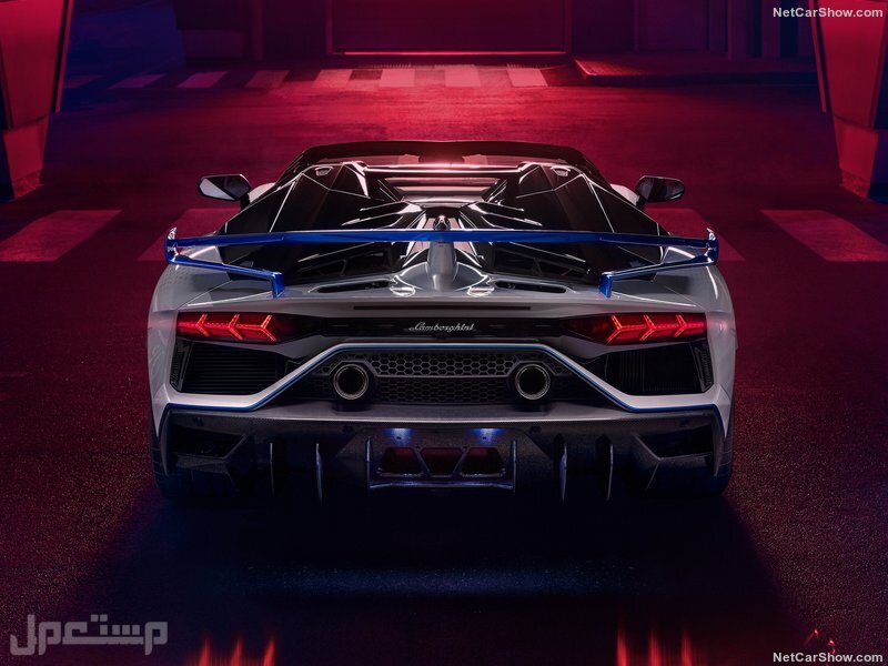 Lamborghini Aventador SVJ Roadster Xago Edition (2020)