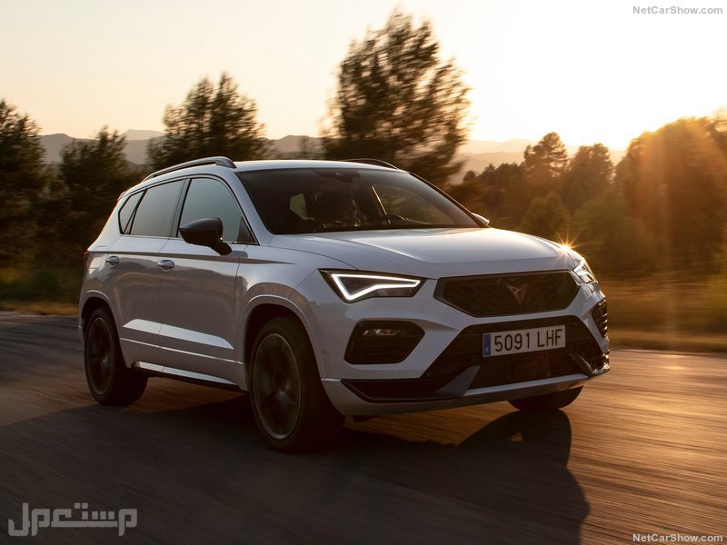Seat Ateca Cupra (2021)