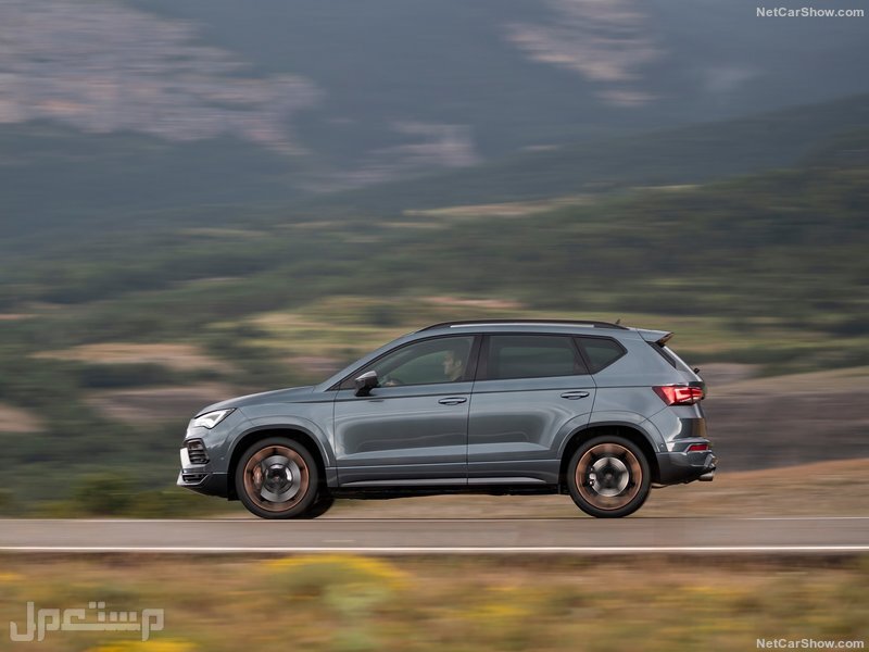 Seat Ateca Cupra (2021)