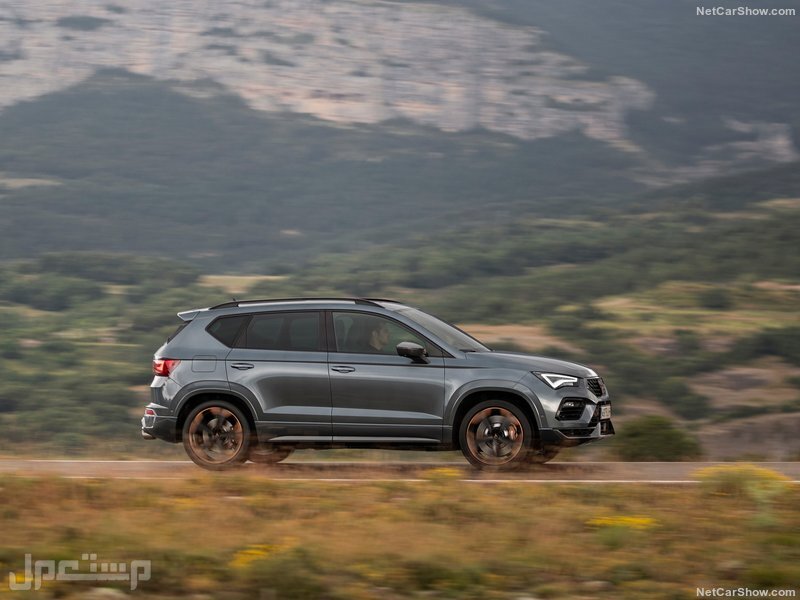 Seat Ateca Cupra (2021)
