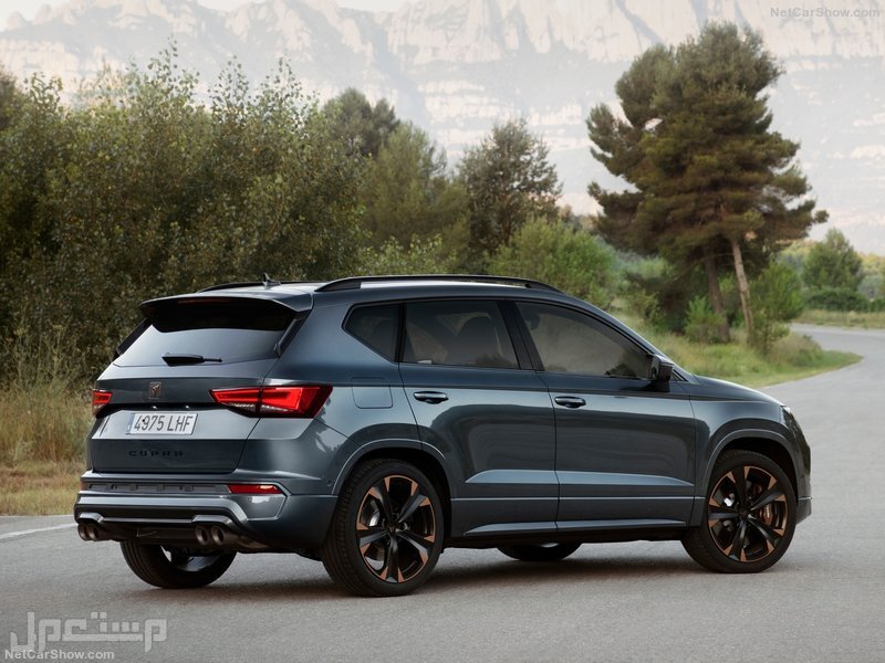 Seat Ateca Cupra (2021)