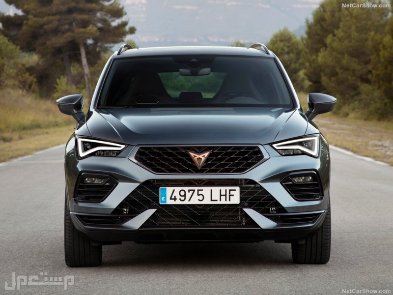 Seat Ateca Cupra (2021)