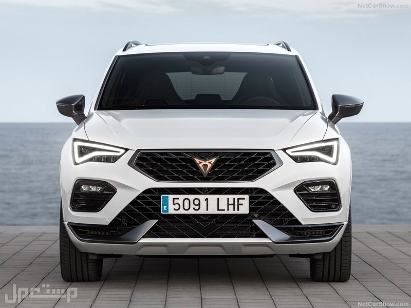 Seat Ateca Cupra (2021)