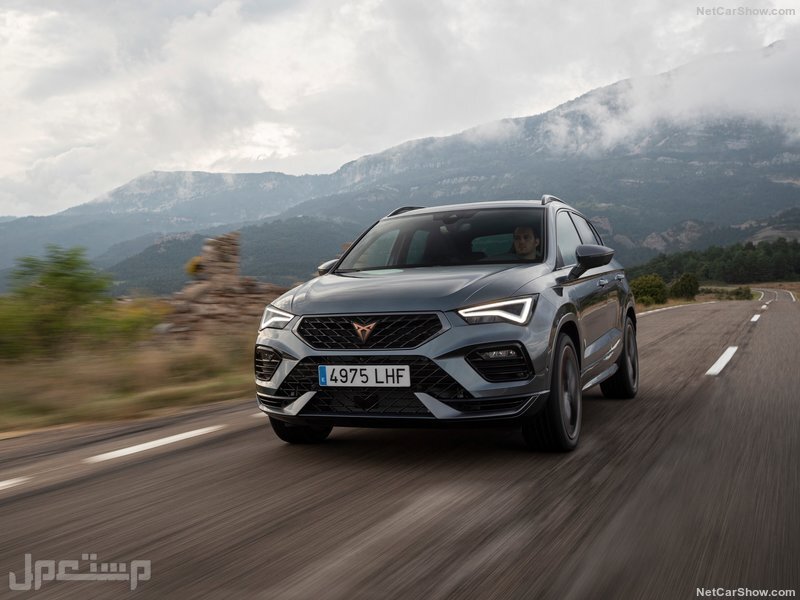 Seat Ateca Cupra (2021)