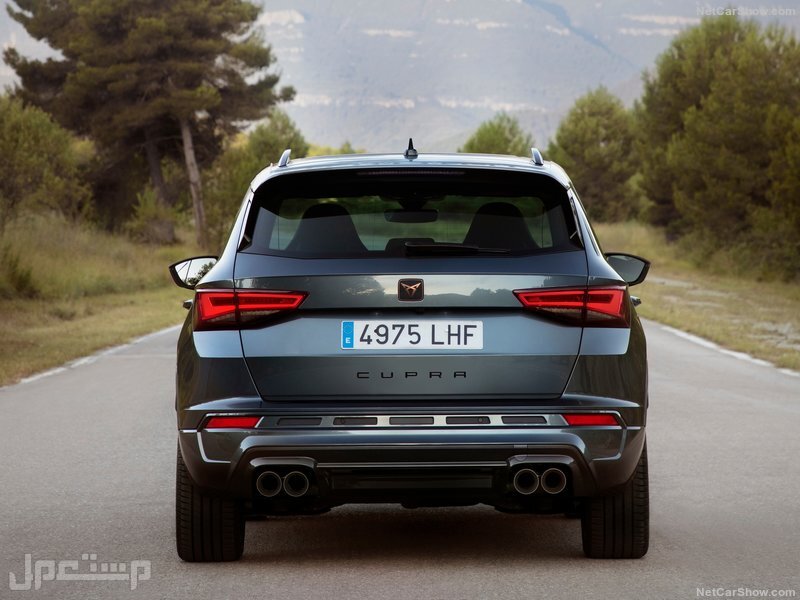 Seat Ateca Cupra (2021)