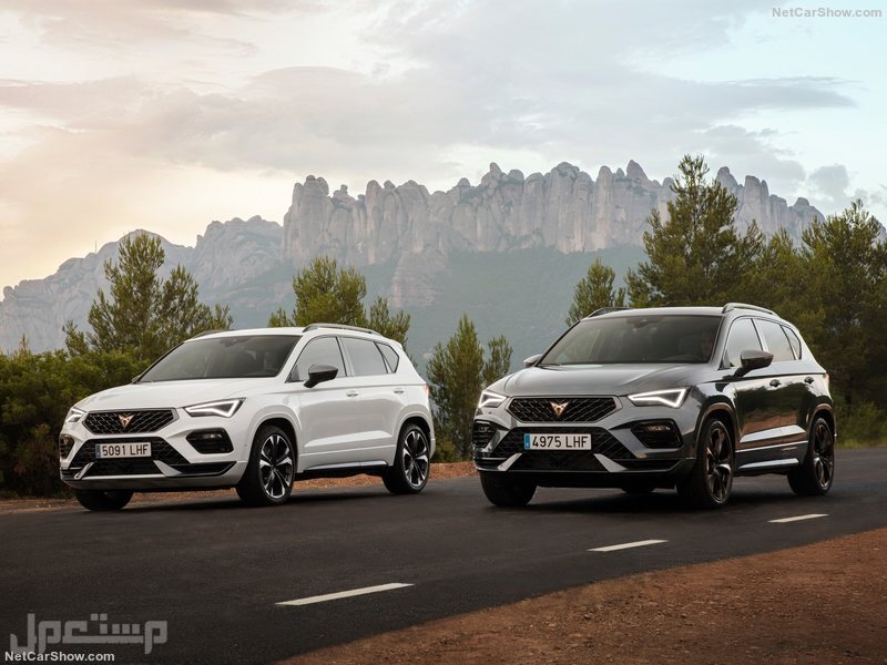 Seat Ateca Cupra (2021)