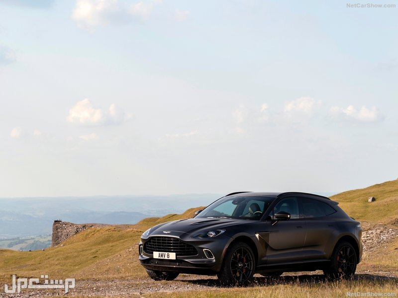 Aston Martin DBX Satin Xenon Grey (2021)