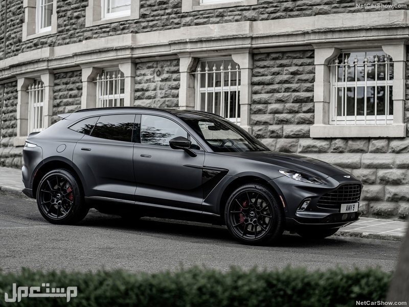 Aston Martin DBX Satin Xenon Grey (2021)