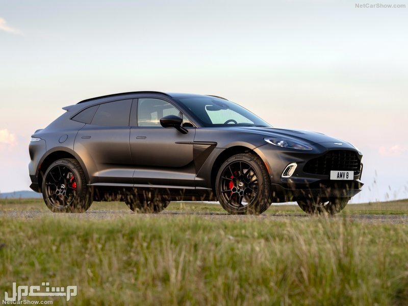 Aston Martin DBX Satin Xenon Grey (2021)