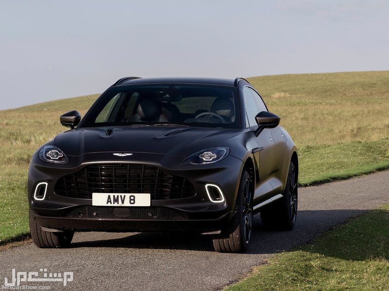 Aston Martin DBX Satin Xenon Grey (2021)