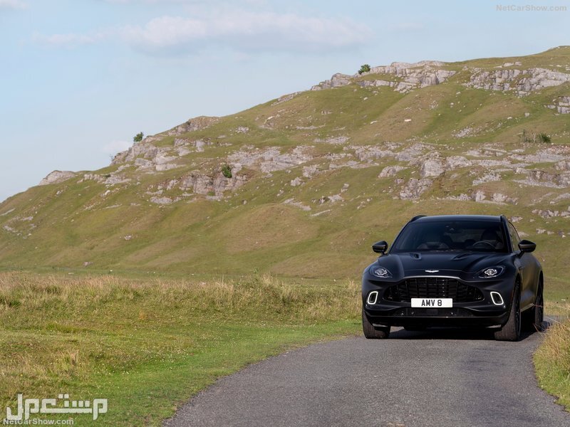 Aston Martin DBX Satin Xenon Grey (2021)