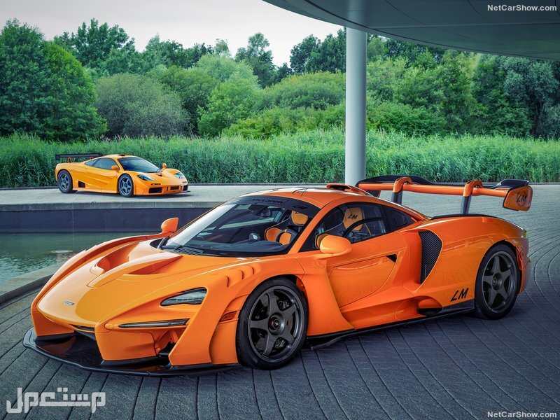 McLaren Senna LM (2020)