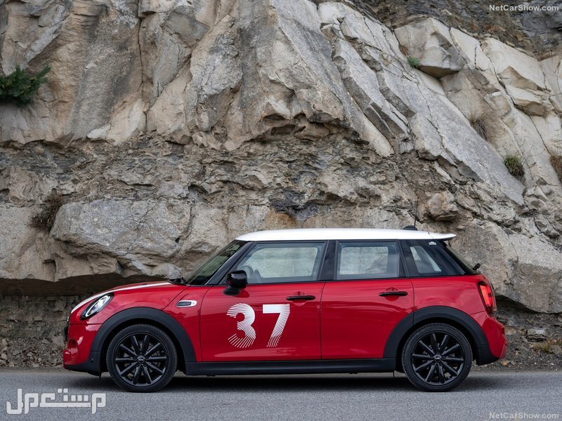 Mini Paddy Hopkirk Edition (2020)