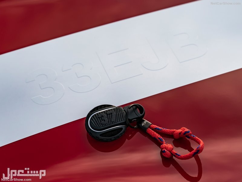Mini Paddy Hopkirk Edition (2020)