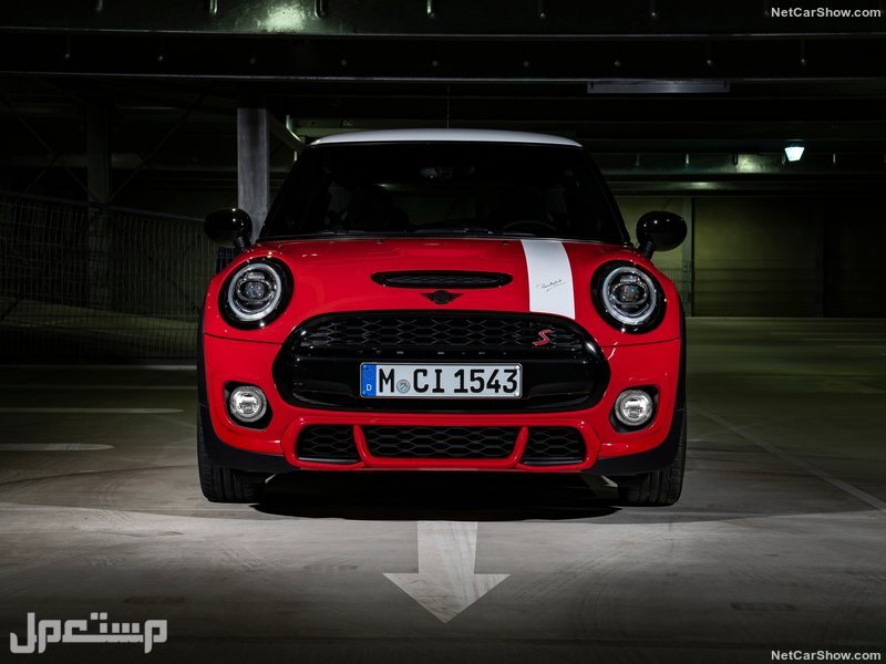 Mini Paddy Hopkirk Edition (2020)