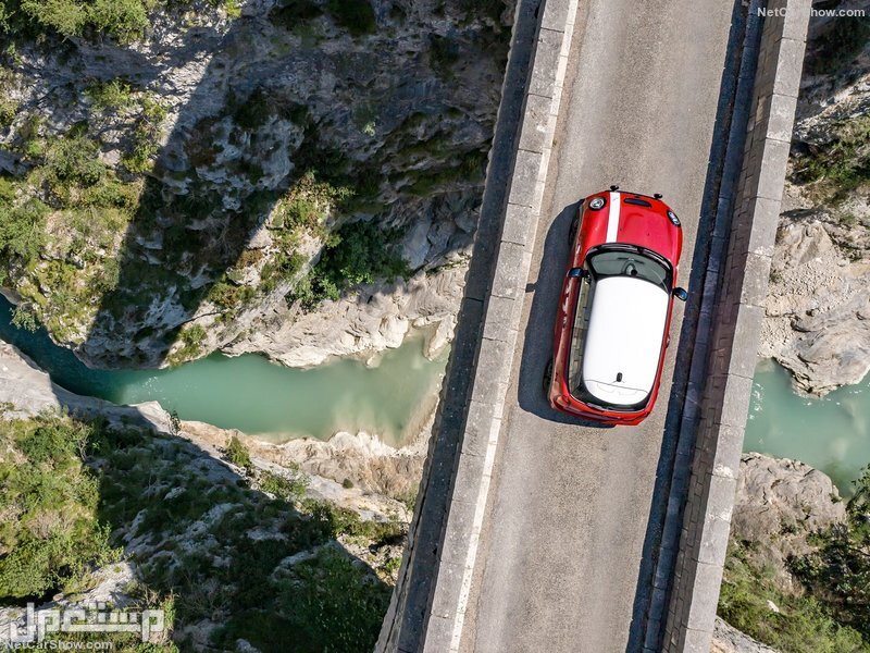 Mini Paddy Hopkirk Edition (2020)